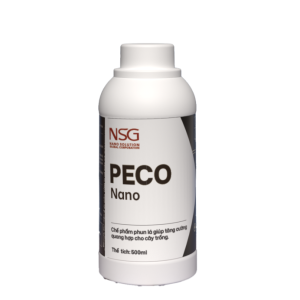 CHẾ PHẨM PECO NANO